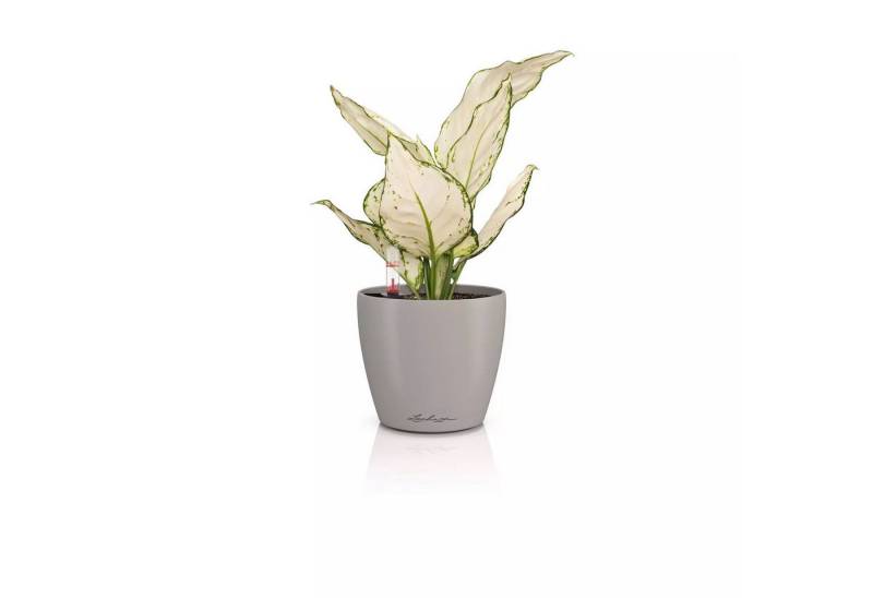 Lechuza® Blumentopf Classico Color 12 sandbraun (Komplettset) von Lechuza®