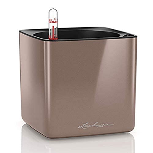 LECHUZA Cube Glossy 14 hochwertiger Pflanzwürfel mit Stick -Bewässerungssystem, Smoky Diamond highgloss LECHUZA Cube Glossy 14 hochwertiger Pflanzwürfel mit Stick -Bewässerungssystem, Smoky Diamond highgloss von Lechuza