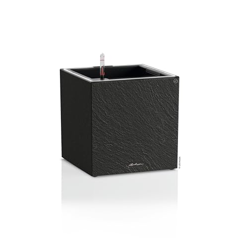 LECHUZA-Pflanzgefäß Canto Slatestone 30 Low LED Dark Grey, Pflanzgefäß mit Bewässerungssystem, Wasserstandsanzeiger und Pflanzeinsatz mit LED-Lichtband, Schiefer-Optik, 30 x 30 x 30 cm, 15933 LECHUZA-Pflanzgefäß Canto Slatestone 30 Low LED Dark Grey, Pflanzgefäß mit Bewässerungssystem, Wasserstandsanzeiger und Pflanzeinsatz mit LED-Lichtband, Schiefer-Optik, 30 x 30 x 30 cm, 15933 von Lechuza