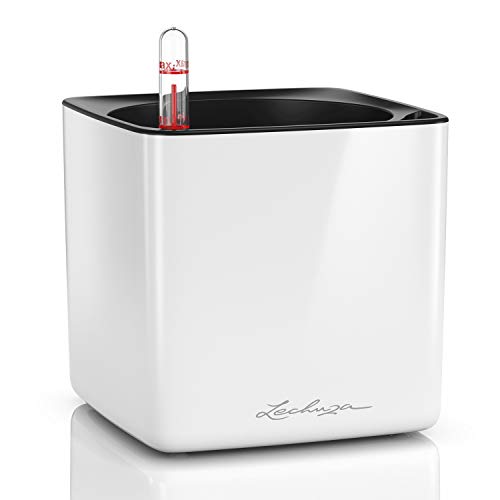 LECHUZA CUBE Glossy 14 weiß-highgloss 13510 LECHUZA CUBE Glossy 14 weiß-highgloss 13510 von Lechuza