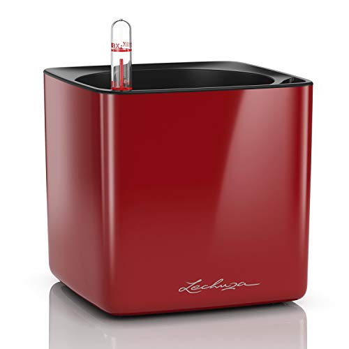 LECHUZA CUBE Glossy 14 scarlet rot highgloss 13512 von Lechuza