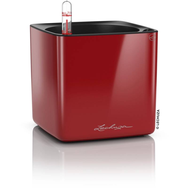 Lechuza Pflanzgefäß Cube Glossy 14 Scarlet Rot highgloss 14 cm x 14 cm von Lechuza
