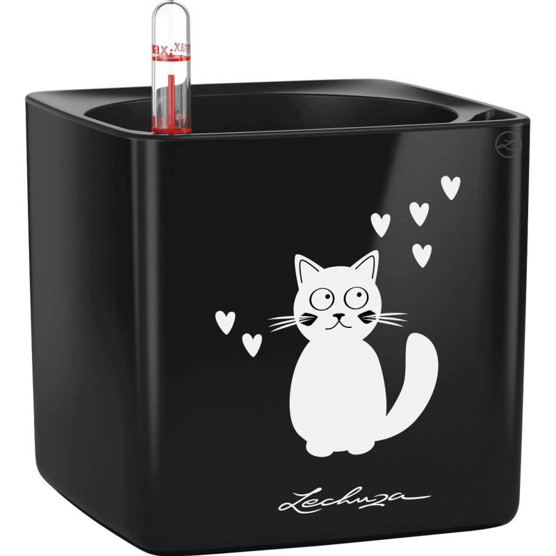 Lechuza® Pflanzgefäß Cube Glossy Cat 14 cm x 14 cm x 14 cm Schwarz Lechuza® Pflanzgefäß Cube Glossy Cat 14 cm x 14 cm x 14 cm Schwarz von Lechuza