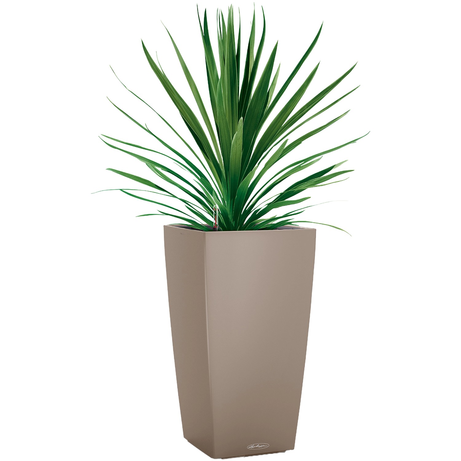 Lechuza Pflanzgefäß Cubico Color 40 cm x 40 cm x 75 cm Sandbraun von Lechuza