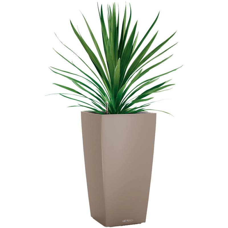 Lechuza Pflanzgefäß Cubico Color 40 cm x 40 cm x 75 cm Sandbraun von Lechuza