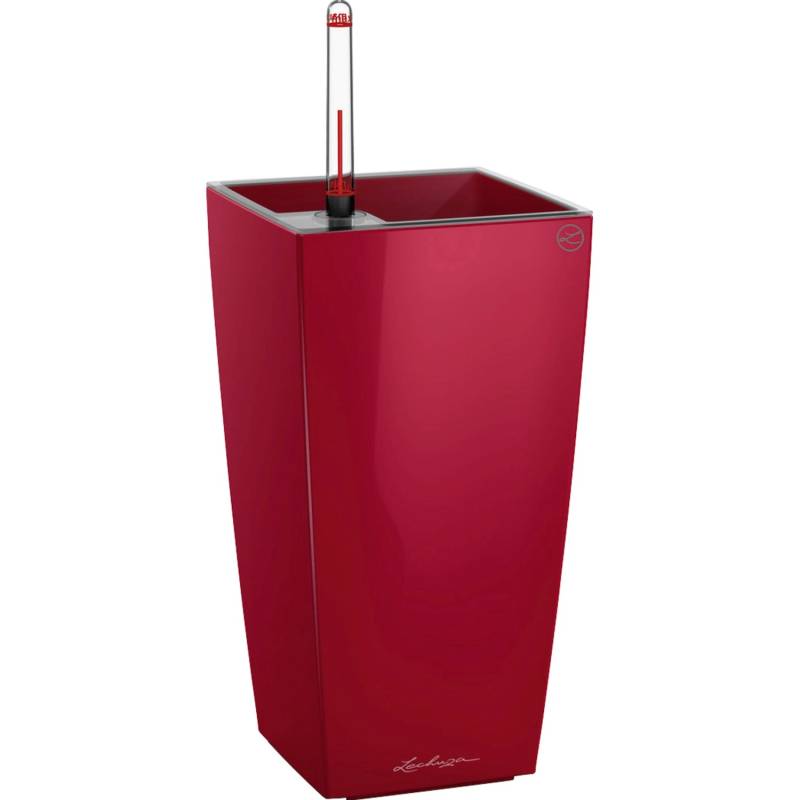 Lechuza Pflanzgefäß Maxi-Cubi Scarlet Rot hochglanz 14 cm x 14 cm Lechuza Pflanzgefäß Maxi-Cubi Scarlet Rot hochglanz 14 cm x 14 cm von Lechuza