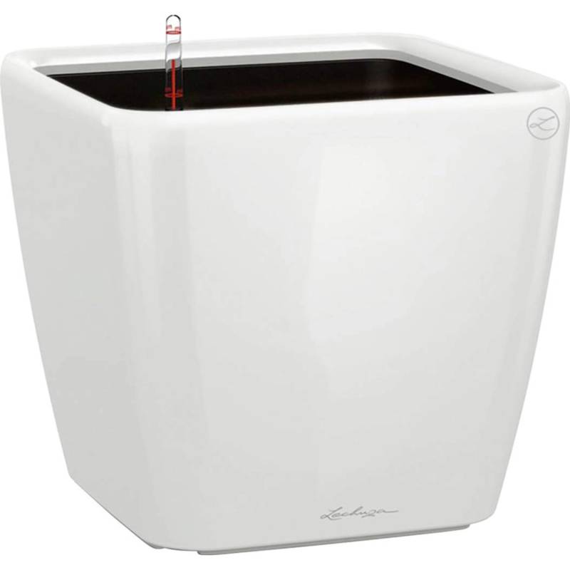 Lechuza Pflanzgefäß Quadro Premium LS 35 cm x 35 cm x 33 cm Weiß hochglanz Lechuza Pflanzgefäß Quadro Premium LS 35 cm x 35 cm x 33 cm Weiß hochglanz von Lechuza