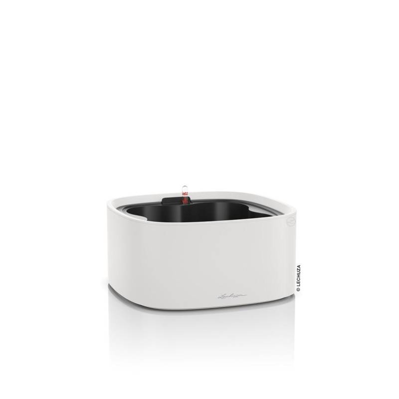 Lechuza Pflanzschale Pila Color Stick lichtgrau Kunststoff Lechuza Pflanzschale Pila Color Stick lichtgrau Kunststoff von geobra Brandstätter Stiftung & Co. KG LECHUZA