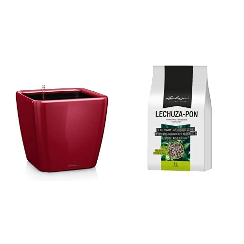 Lechuza Quadro Premium LS 21, Scarlet Rot Hochglanz, Hochwertiger Kunststoff+ PON 6L Pflanzsubstrat, Neutral von Lechuza