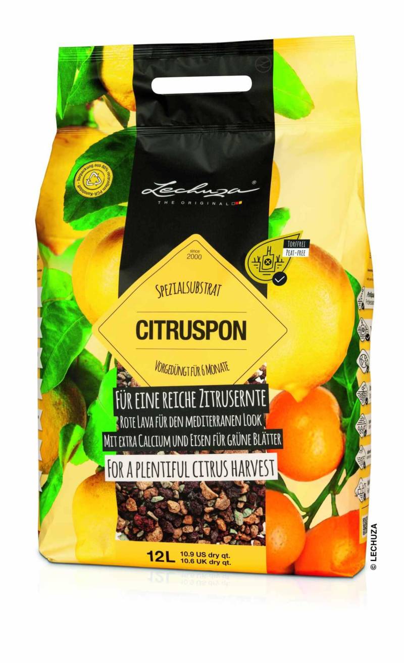 Lechuza Substrat Citruspon 12L - 19540 von geobra Brandstätter Stiftung & Co. KG LECHUZA