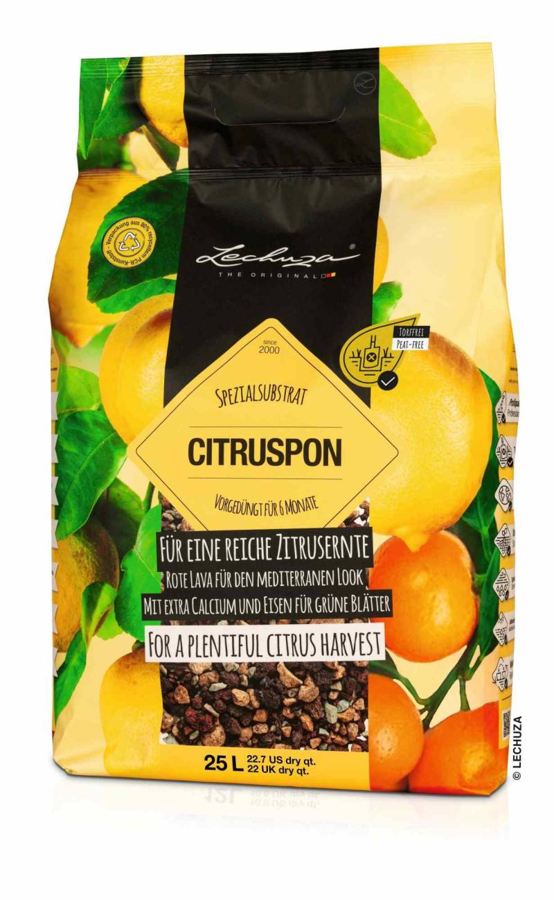 Lechuza Substrat Citruspon 25L torffrei 19541 von geobra Brandstätter Stiftung & Co. KG LECHUZA