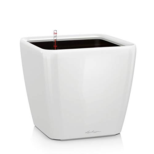 LECHUZA QUADRO Premium LS 21 weiß hochglanz 16120 LECHUZA QUADRO Premium LS 21 weiß hochglanz 16120 von Lechuza