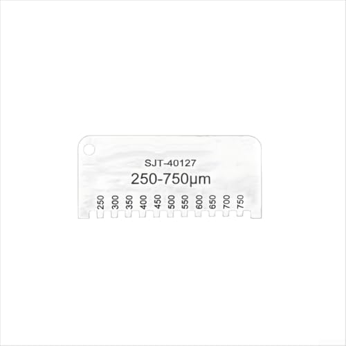 Edelstahl Nassfilmkamm, Nassfilmkamm Farbbeschichtungslehre Doppelseitige Karte Tragbares Werkzeug für Farben Harze Lacke (250-750 μm) von Lecreatekit
