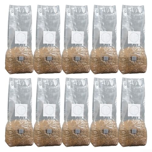 Pilzbeutel, Pilz-Wachstumsbeutel, autoklavierbar, mit Temperaturbeständigkeit, für Pilzkörner (25 x 50) von Lecreatekit