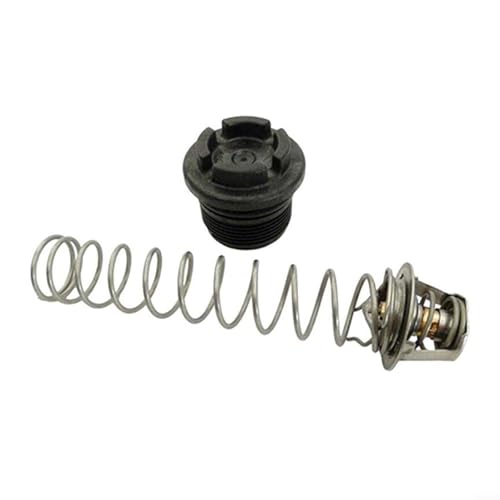Temperaturmanagementsystem, Thermoregler Thermoregler Thermoregulierung Zubehör 77707-0010 Zubehör für Pool SPA Heizung von Lecreatekit