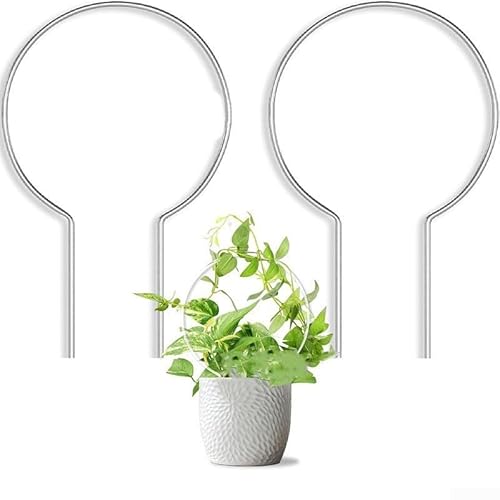Transparentes Acryl-Kletterrahmen-Set, perfekt für Reben und dekorative Displays Transparentes Acryl-Kletterrahmen-Set, perfekt für Reben und dekorative Displays von Lecreatekit