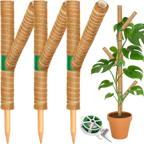 Stapelbare Moosstange für Kletterpflanzen, 68 cm, für Zimmerpflanzen, Kokosfaser, Totempfähle für Monstera, Pothos (39 x 3 Stück) von Ledanba