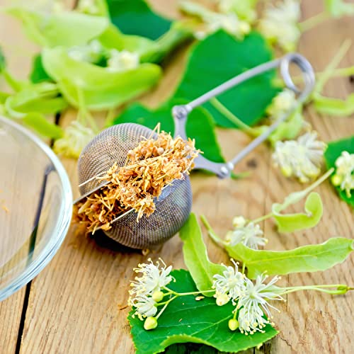 Teesieb aus Edelstahl in Form einer Zange Ø 4,5 cm, wiederverwendbares und umweltfreundliches Teesieb für Kräutertee, hochwertiges Loseieb, ideal für Teeliebhaber und Aufgüsse von Leddy Living