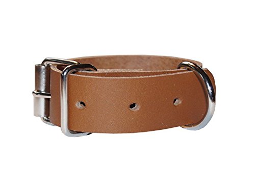 Leder Befestigungsriemen mit D-Ring und Schnalle, Fixierriemen, Lederriemen, Farbe:cognac, Größe:1.5cm breit x 60cm lang von Lederriemen.com