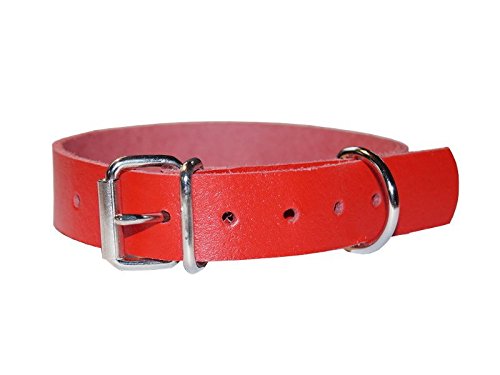 Leder Befestigungsriemen mit D-Ring und Schnalle, Fixierriemen, Lederriemen, Farbe:rot, Größe:2cm breit x 100cm lang von Lederriemen.com