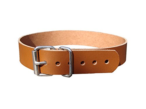 Leder Befestigungsriemen mit Rollschnalle, Fixierriemen, Lederriemen, Schnalle, Farbe:cognac, Größe:2cm breit x 40cm lang von Lederriemen.com