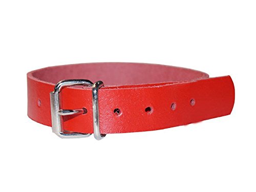 Leder Befestigungsriemen mit Rollschnalle, Fixierriemen, Lederriemen, Schnalle, Farbe:rot, Größe:1.5cm breit x 20cm lang von Lederriemen.com