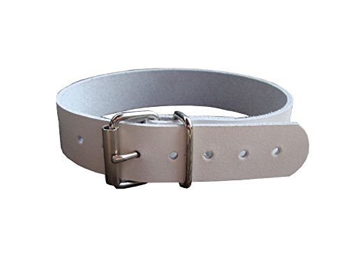 Leder Befestigungsriemen mit Rollschnalle, Fixierriemen, Lederriemen, Schnalle, Farbe:weiß, Größe:4cm breit x 20cm lang von Lederriemen.com