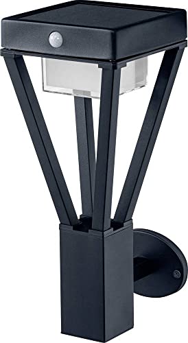 LEDVANCE ENDURA SOLAR BOUQUET WALL SENSOR 36,5cm – moderne solar Wandleuchte mit Bewegungsmelder, outdoor Gartenleuchte mit 3 Betriebsarten, 6W, 3000K, 200 - 550 Lumen, IP44, schwarz von LEDVANCE