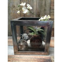 Stahlglas Terrarium Box Glasvitrine Mit Stahlrahmen 16 in X von LeeDisplaySeasonals
