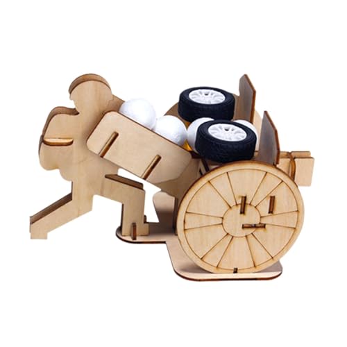 LeeQinersw Wissenschaftliches Experimentierset, 3D Wissenschaftsbauprojekt Aus Holz von LeeQinersw