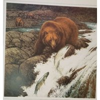 Echter Bär Kunstdruck Exlibris Bemalt Von Bev Doolittle - Wandkunst Bd57 von LeesVintagePaper