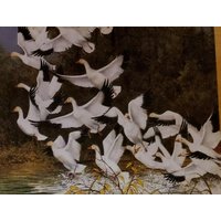 Schneegänse Kunstdruck Buchsticker Bemalt Von Bev Doolittle - Wandkunst Bd52 von LeesVintagePaper