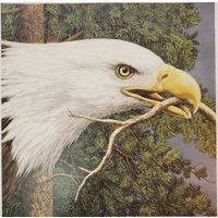 The Great Eagle Kunstdruck Buchdruck Bev Doolittle - Wandkunst Bd49 von LeesVintagePaper