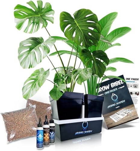 Leeventi NutrientFlow V3.0 Hydroponisches Anzuchtsystem Komplettset mit Dünger und Wasserstandsanzeiger – Kein pH- oder EC-Messen erforderlich – Ideal für Growbox, Growzelt und Indoor-Anbau Leeventi NutrientFlow V3.0 Hydroponisches Anzuchtsystem Komplettset mit Dünger und Wasserstandsanzeiger – Kein pH- oder EC-Messen erforderlich – Ideal für Growbox, Growzelt und Indoor-Anbau von Leeventi
