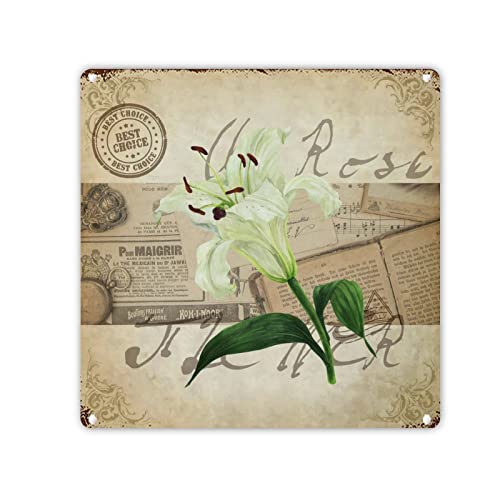 LeforYCL Aluminiumschild im Vintage-Stil, französische Lilie, Retro-Zeitung, Musiknote, Blechschild, rustikal, schick, botanisches Kunstwerk, Blechschild für Zuhause, Bars, 30,5 x 30,5 cm LeforYCL Aluminiumschild im Vintage-Stil, französische Lilie, Retro-Zeitung, Musiknote, Blechschild, rustikal, schick, botanisches Kunstwerk, Blechschild für Zuhause, Bars, 30,5 x 30,5 cm von LeforYCL