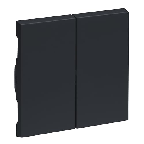 LEGRAND, SEANO Serienwippe für Serienschalter, Doppelwechselschalter und Doppeltaster, Schalterabdeckung, Wippenplatte, Farbe: Anthrazit lackiert, 765408 von Legrand