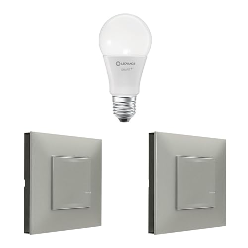 Legrand 199221 - Erweiterungspack Valena Next mit Netatmo: 2 kabellose Beleuchtungsbefehle + 1 x E27 Classic/Aluminium von Legrand