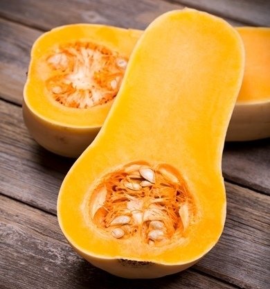 Butternut Squash Samen - Cucurbita maxima von Legutko