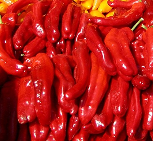 Hot Pepper 30 Samen - Capsicum Pfeffer von Legutko