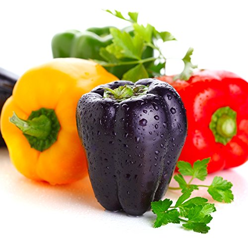 Sweet Pepper gemischt Samen - Capsicum Pfeffer von Legutko