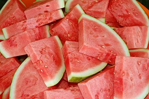Wassermelone Rosario Samen - Wassermelone von Legutko