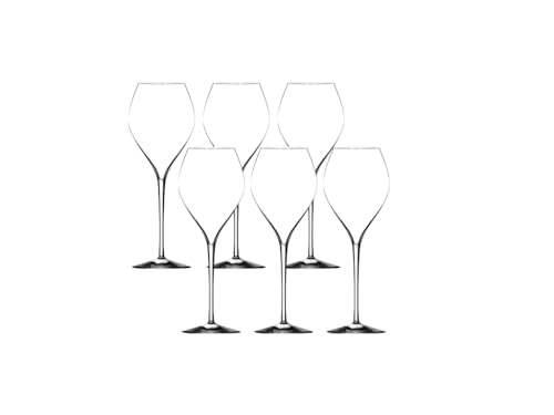 Lehmann Jamesse Premium Champagnergläser | 6er Set | 28,5cl Kristallgläser | Champagner- und Proseccoflöten | Französisches Luxusdesign | Breite Schale mit schmalem Deckel | Glaswaren aus Frankreich von Lehmann