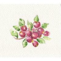 Moosbeeren Art Gerahmt, Obst Malerei, Rotes Küche Wanddekor, Cape Cod Kunst, Küchenkunst von LeighBarryWatercolor