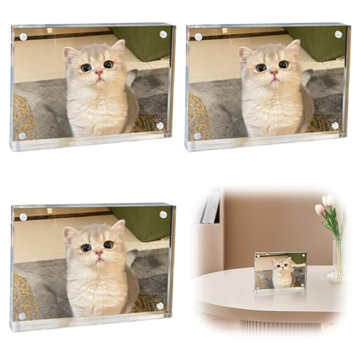 Leikurvo 3 Stück Bilderrahmen, 10 x 15 cm Acryl Bilderrahmen Magnetischer Fotorahmen Rahmenloser Rahmen klarer Doppelseitige Display Ständer 5mm Dicke magnetisch Bilderhalter für Desktop Büro von Leikurvo