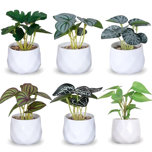 Leikurvo 6 Stück Künstliche Pflanzen: Künstliche Pflanzen mit Topf Mini Deko Pflanzen künstlich Plastikpflanzen, geeignetfür Home Badezimmer Büro Tisch Dekor von Leikurvo