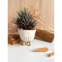 Getöpferter Weißer Keramik Übertopf Mit Beinen | Kleiner Handgemachter Blumentopf Steinzeug| Schlichter Pflanztopf Füßen Töpferei Getöpferter Weißer Keramik Übertopf Mit Beinen | Kleiner Handgemachter Blumentopf Steinzeug| Schlichter Pflanztopf Füßen Töpferei von LeilaCeramicsAndArts