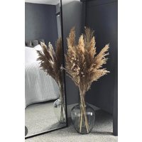 Pampasgras 120 cm - 20 Stiele | Flauschige Trockenblumen Natur Boho Deko Für Vase, Wohnzimmer & Hochzeit von LeilaDekohandmade