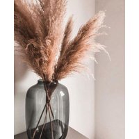 Pampasgras Natur 120 cm - 15 Stück | Flauschige Trockenblumen Für Vase, Wohnzimmer & Weihnachten Deko Im Boho Stil Pampasgras Natur 120 cm - 15 Stück | Flauschige Trockenblumen Für Vase, Wohnzimmer & Weihnachten Deko Im Boho Stil von LeilaDekohandmade