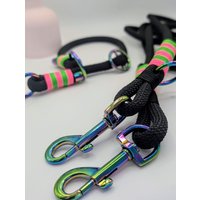 Rainbow Rebel | Hundeleine Aus Rpet-Seil - Auch Im Set Mit Halsband Nachhaltig & Einzigartig von LeinenFuchs