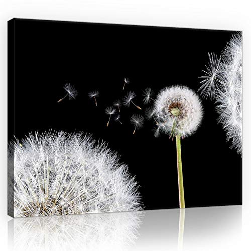 Forwall Leinwandbild Bilder Pusteblume 100cm x 75cm - Kunstdruck modern Wandbilder XXL Wanddekoration Design Wand Bild - Blumen Natur grau Pusteblumen 10165O1 von Leinwandbild Consalnet